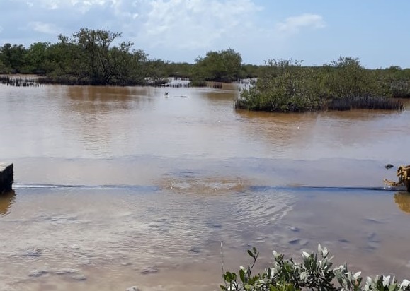 SMAPAP informa a la ciudadanía que detendrá bombeo de agua en Chicxulub Puerto para reparar fuga