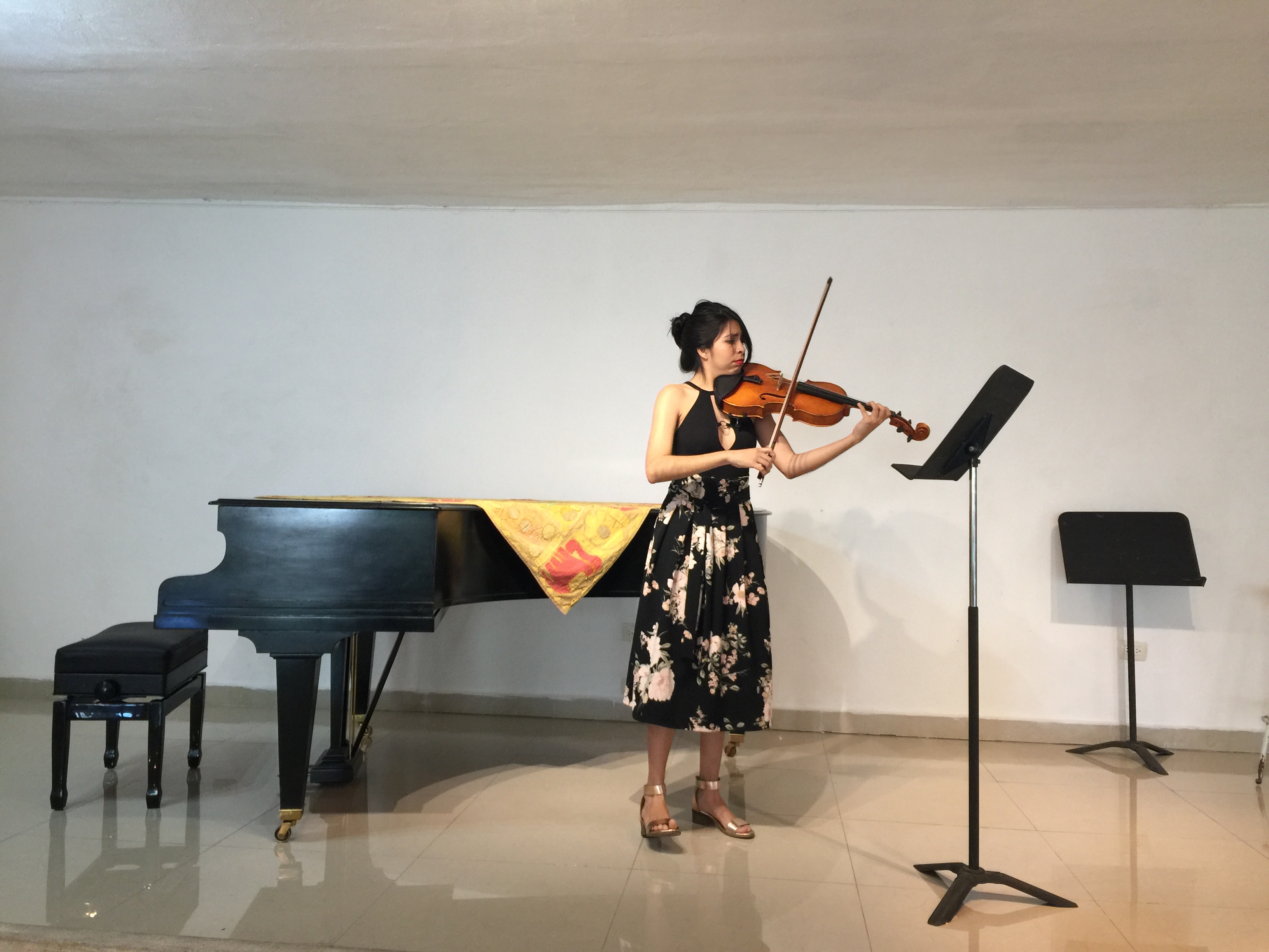 Músicos de la ESAY ofrecerán concierto instrumental en ProHispen