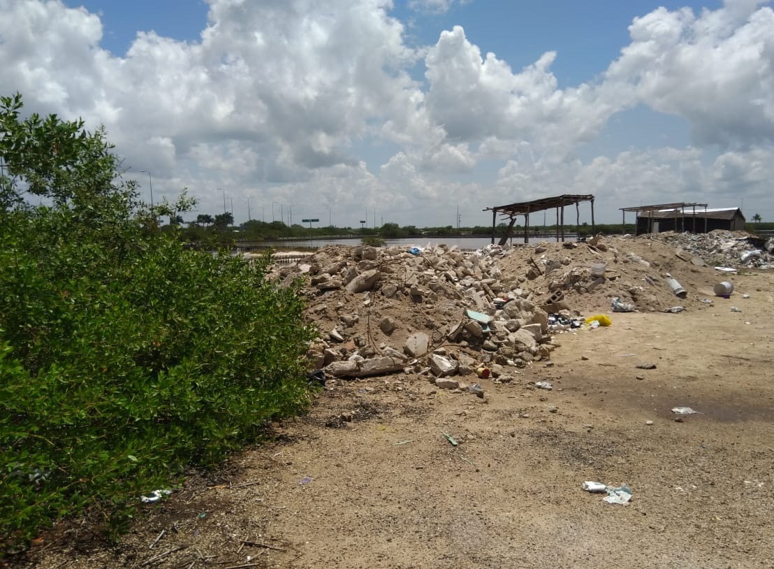 H. Ayuntamiento de Progreso busca coordinar esfuerzos con PROFEPA para atender el cuidado del manglar.