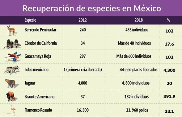 MEXICO CUIDA Y PROTEGE ESPECIES PRIORITARIAS DENTRO DE ÁREAS NATURALES PROTEGIDAS