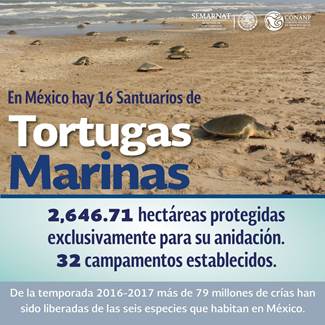 MEXICO CUIDA Y PROTEGE ESPECIES PRIORITARIAS DENTRO DE ÁREAS NATURALES PROTEGIDAS